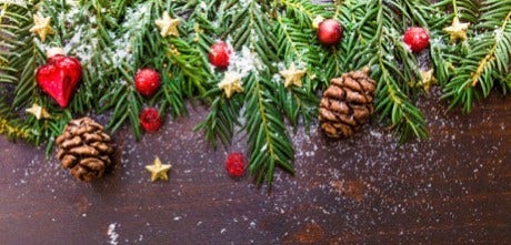 Christmas berries on a charcoal background