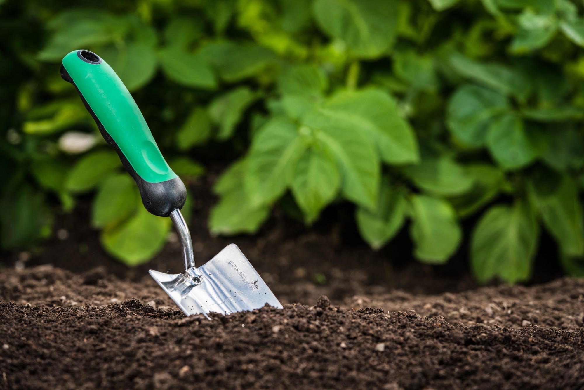 gardening tools for wheelchair users